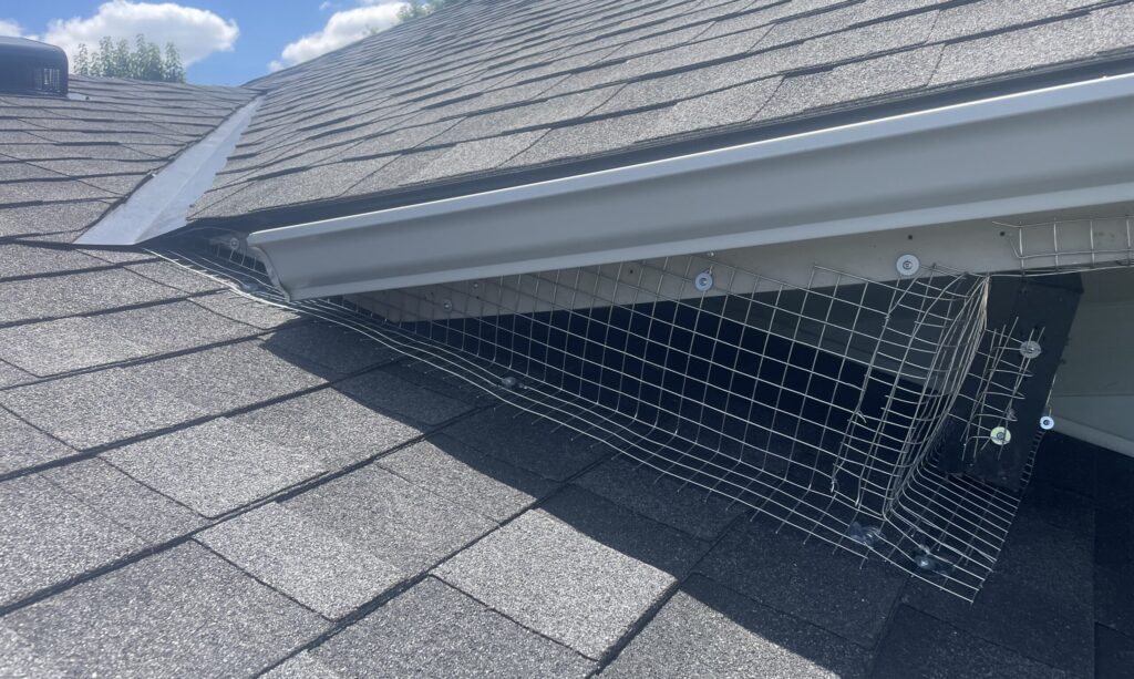 Heavy-duty galvanized steel wire mesh bolted across the open void where a shingled roof valley meets an eave overhang and gutter