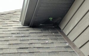 Damaged brown aluminum soffit panel torn open at the roof roofline junction creating an animal entry hole into the attic