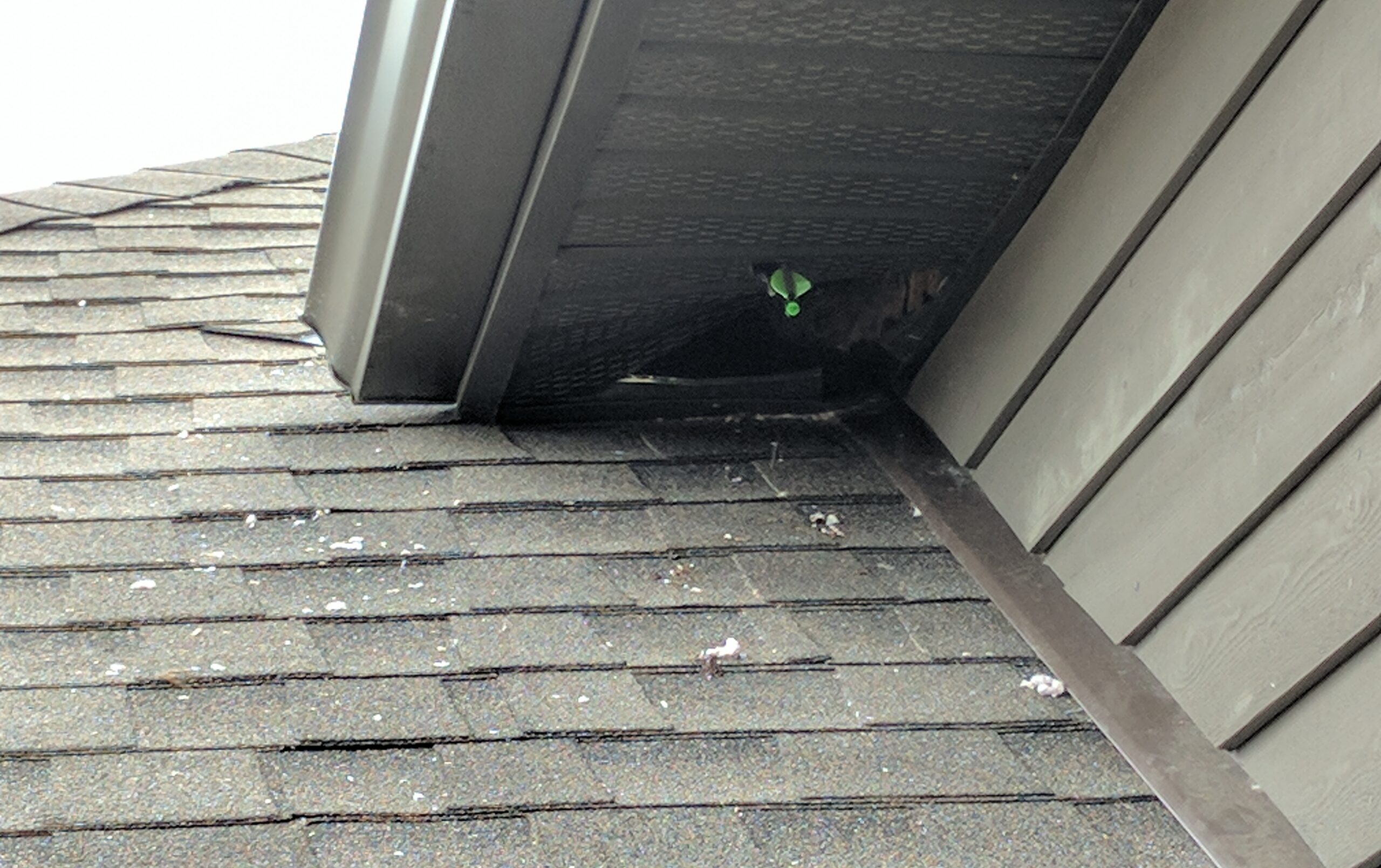 Damaged brown aluminum soffit panel torn open at the roof roofline junction creating an animal entry hole into the attic