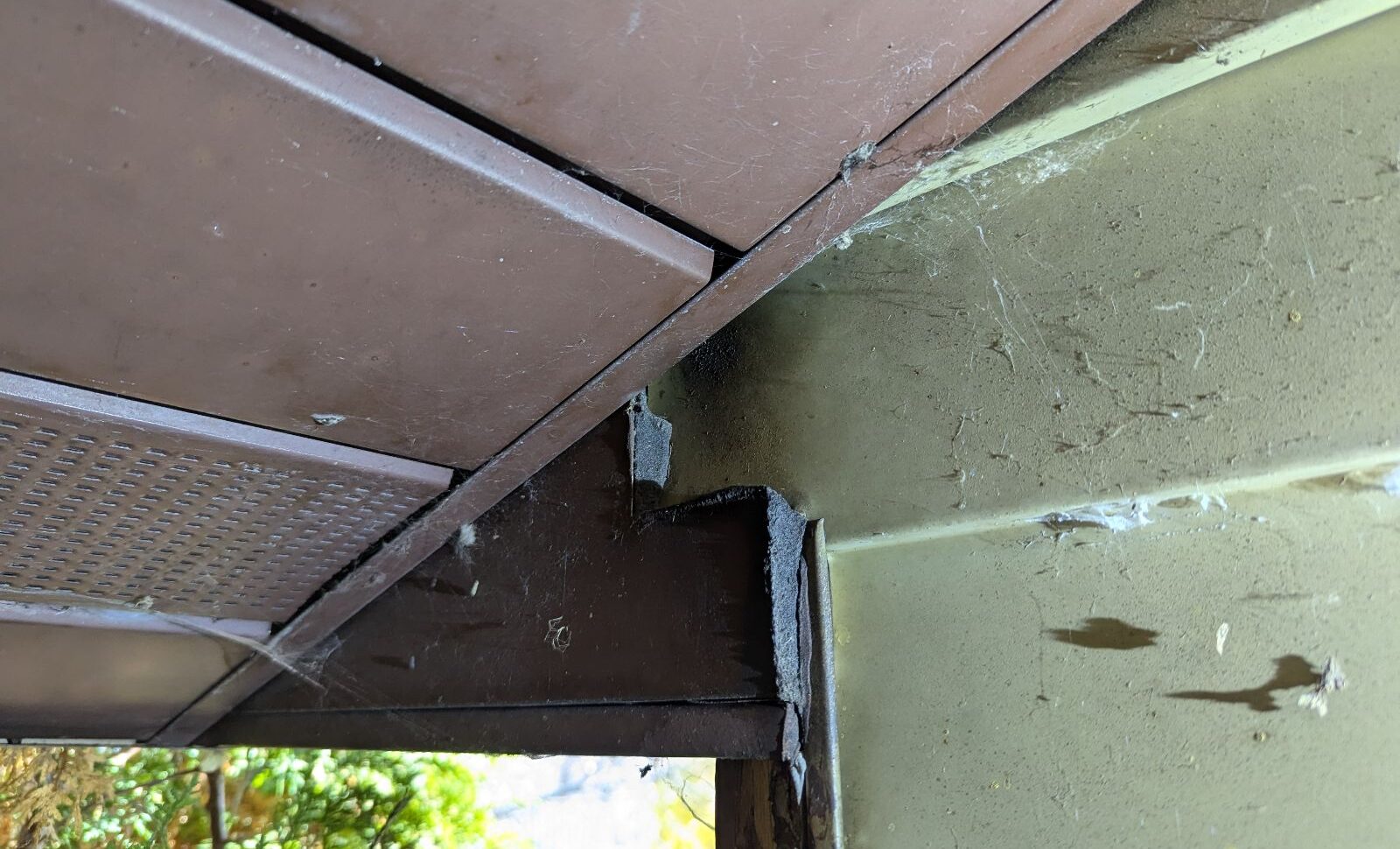 An exterior junction between brown soffit panels and siding showing a dark gap with rodent rub marks and cobwebs