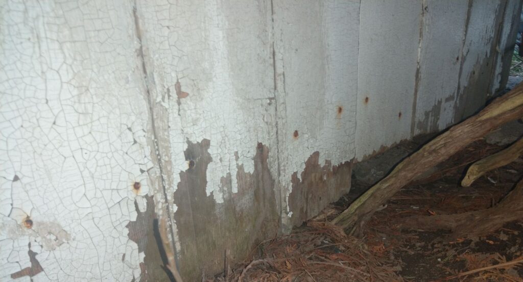 Rotted Wood Siding Base Gap Along Foundation Ground Level Weathered white painted wood siding with peeling paint and rot along the soil line creating potential wildlife entry gaps
