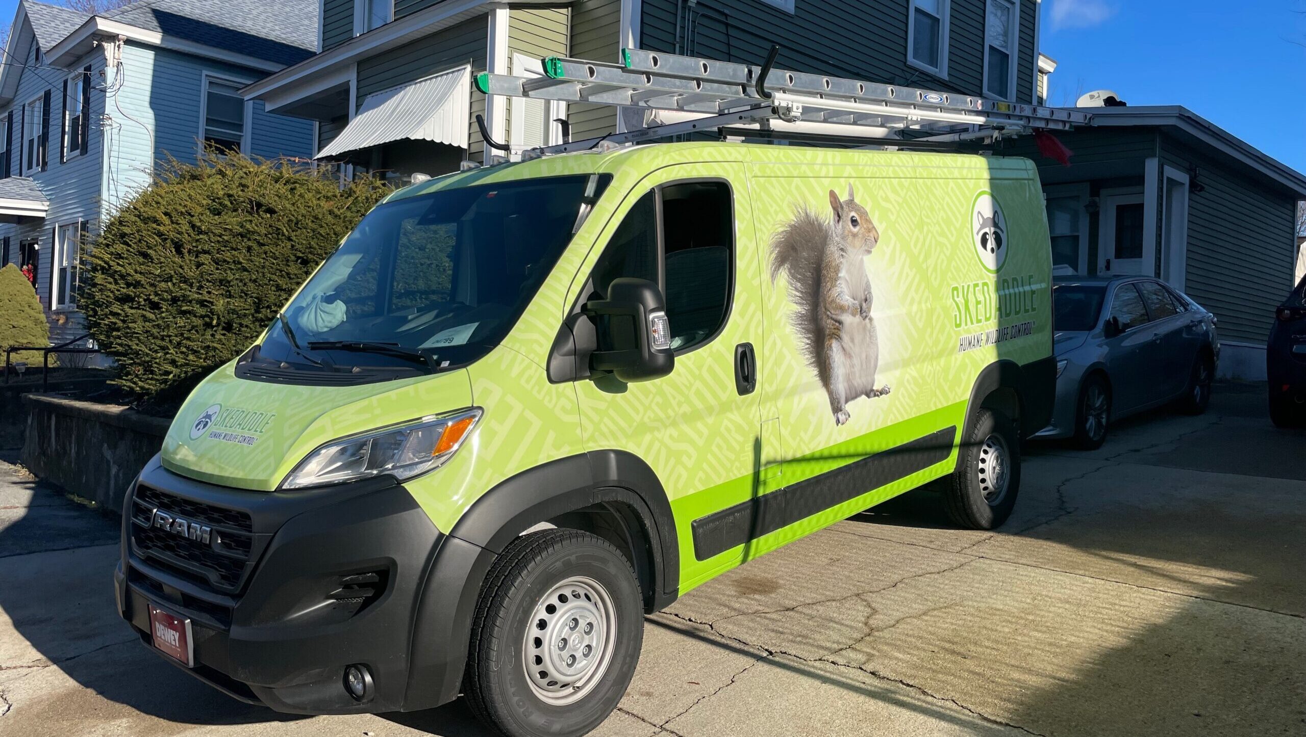 A bright lime-green branded Skedaddle Humane Wildlife Control Ram ProMaster van equipped with ladder racks parked outside a multi-story home