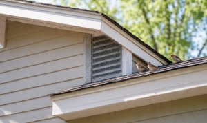 Three small sparrows perching on asphalt roof shingles near an exterior attic gable vent covered in galvanized exclusion mesh