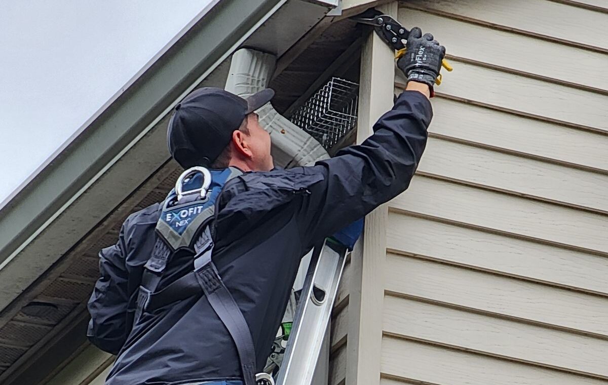 A wildlife control specialist on an extension ladder wearing a safety harness trimming hardware mesh to secure a roof eave gap