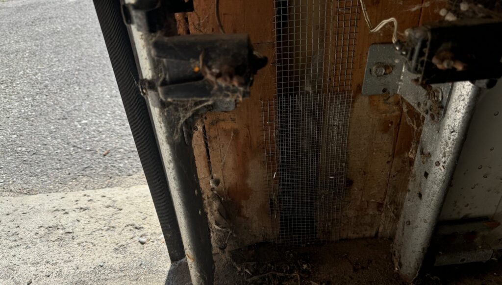Wire Mesh Exclusion Screen Installed at Garage Door Track Framing Gap Galvanized steel hardware cloth mesh stapled across an open wall gap behind a garage door vertical track sensor